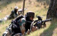 पंजाब के रास्ते घुसपैठ की कोशिश, BSF ने 2 आतंकी मार गिराए