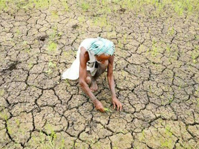 फसल के नुकसान पर किसान को मुआवजे में मिला 1 रुपया