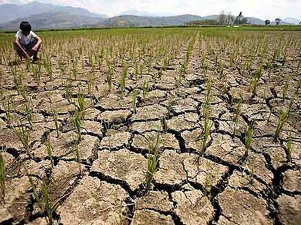 सूखा राहत की राह में रोड़ा, केंद्रीय मंत्रालय काट रहा कन्नी