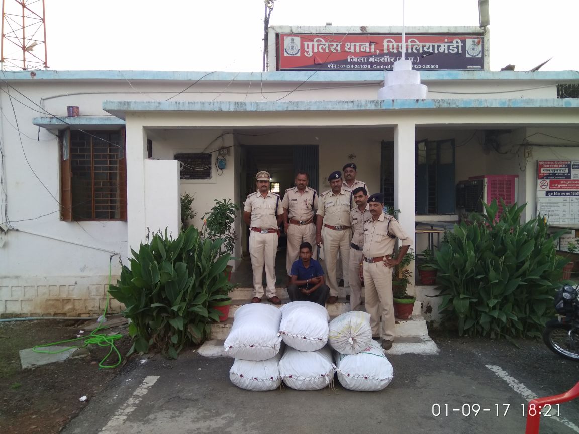 पिपलियामंडी पुलिस को  डोडाचूरा के साथ हरियाणा के तस्कर को पकडने में सफलता मिली