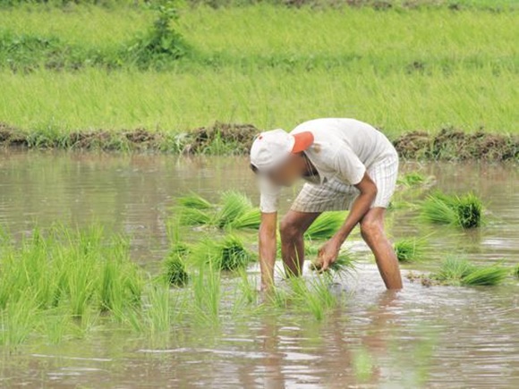 किसानों का 50 हजार रुपए तक का कर्ज माफ, आंदोलन खत्म