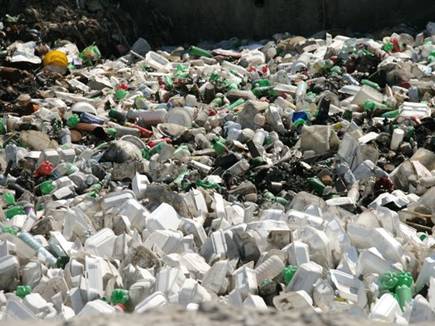 पॉलीथीन के बाद अब फ्लैक्स और डिस्पोजल पर भी प्रतिबंध