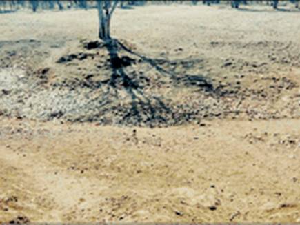 तालाब खुदा ही नहीं और उस पर खर्च हो गए 7.50 करोड़ रुपए