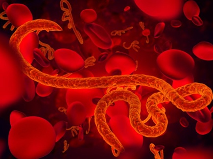 इंदौर में एक साथ पांच वायरस का हमला, महामारी जैसे हालात